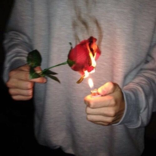 myalternativeaesthetics - burning rose