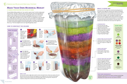 amnhnyc - Make Your Own Microbial Medley - A Famous Investigation...