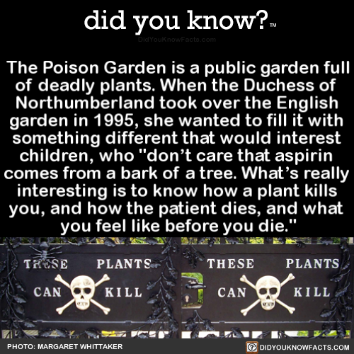 the-poison-garden-is-a-public-garden-full-of