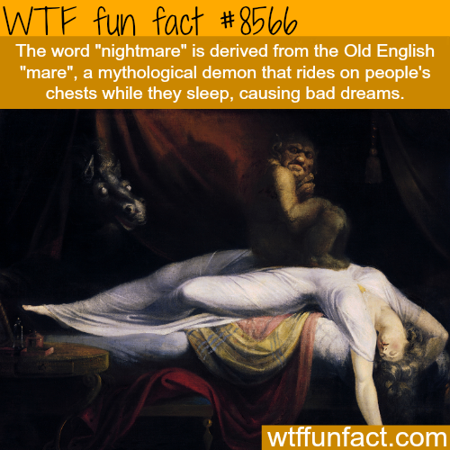 wtf-fun-factss - Nightmare - WTF fun facts