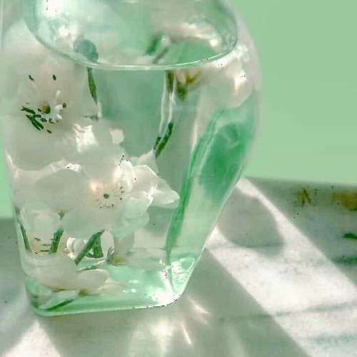 bottle-of-ice - ~ Mint moodboard ~