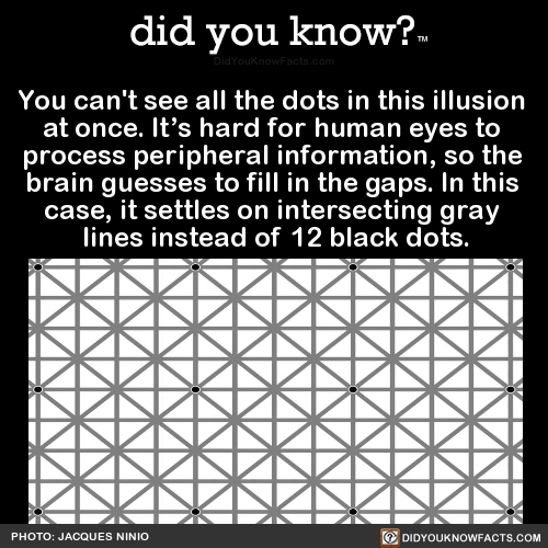 you-cant-see-all-the-dots-in-this-illusion-at