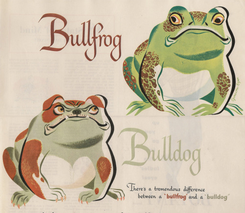 mysterylane - holespoles - hasso - bullfrog, bulldog　(via by...