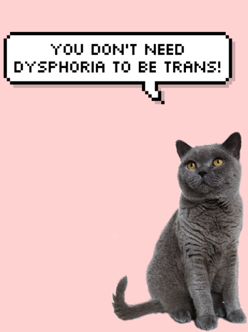salve-terrae-magicae:some trans and nonbinary positivity cats...