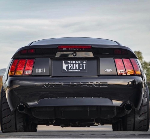 #ford#Mustang#SVT tag–> #American_muscle_mustangs / via...