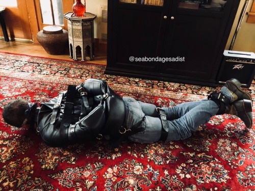 gradygrey - If you’d like to try on my leather straitjacket, I’d...