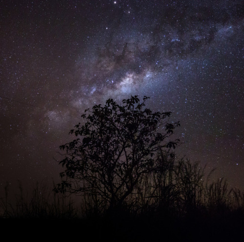 traverse-our-universe - Milky Way photography on Flickr (1, 2, 3)