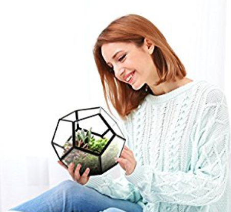 I&rsquo;m looking for a terrarium for my work desk and check out these badly photoshopped images