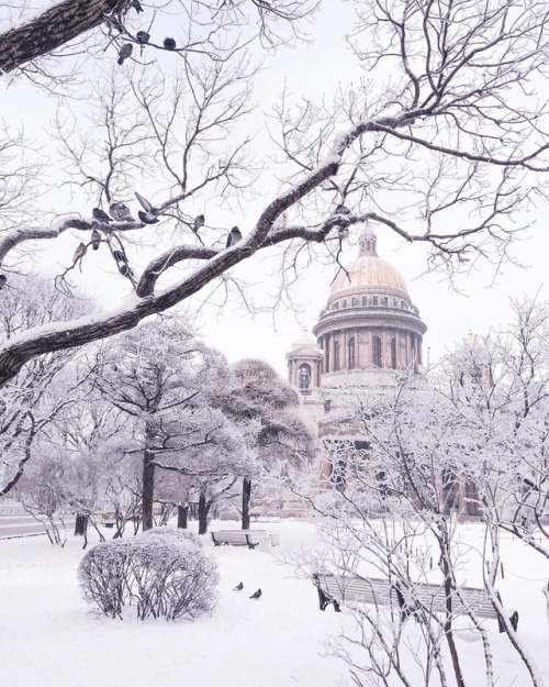 andantegrazioso - Winter in St Petersburg | asyatimina