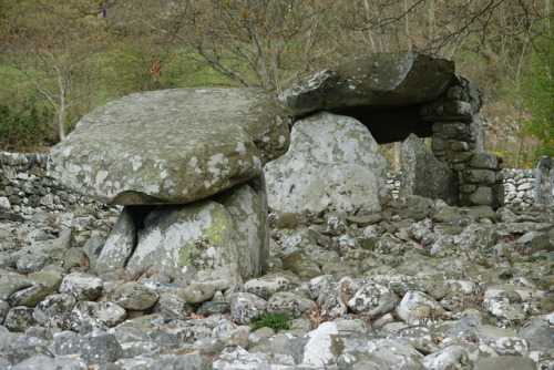 thesilicontribesman - Dyffryn Ardudwy Burial Chamber, North Wales,...