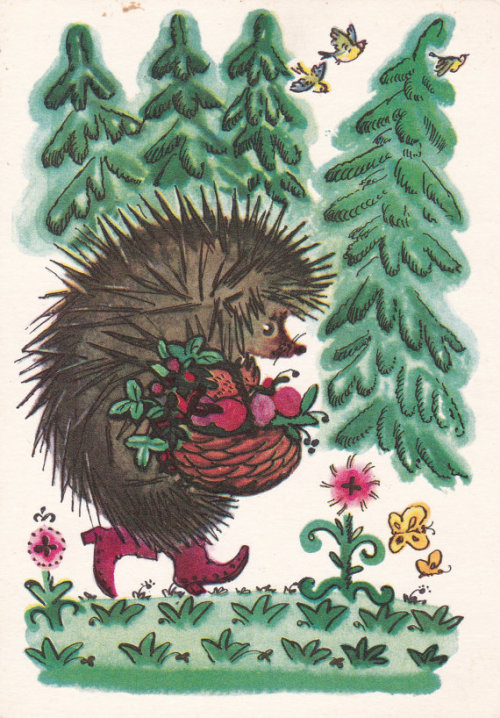 sovietpostcards - Vintage Soviet postcard (1968), cute hedgehog...