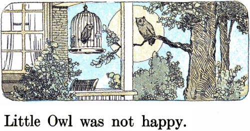 Reblog if little owl is not happy.  From the Elson-Runkel...
