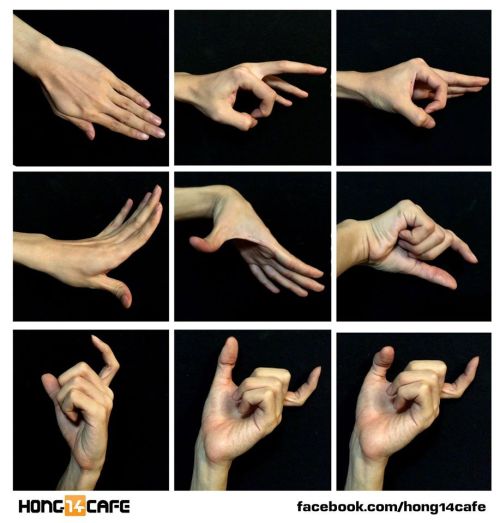 badass-art-tutorials - forzamentis - Fantastic hands references...