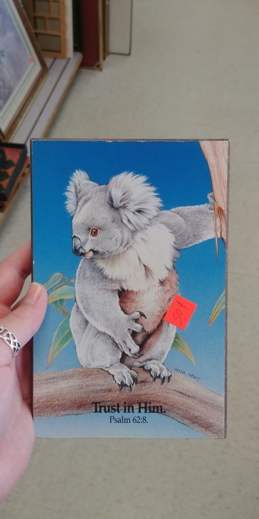 shiftythrifting - Definitely regret not buying this Koala Jesus