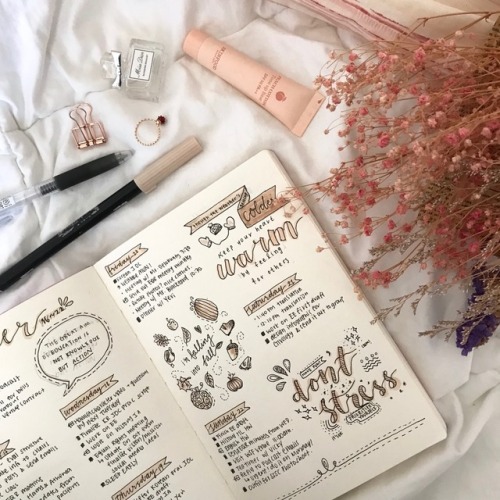 officiallystudying - some spreads and notes from october! follow...