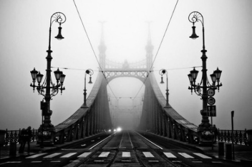 infected - Liberty Bridge, Budapest