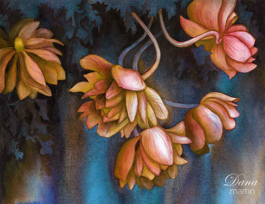 Dana Martin Fallen Anemones Watercolor site | blog | shop — EatSleepDraw is working on something new and we want you to be the first to know about it. Make sure you’re on our email list.