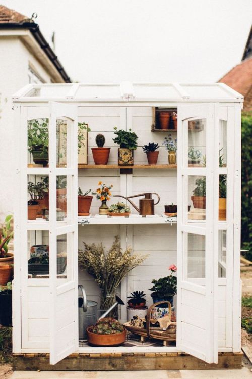 interior-design-home - SPRING PROJECTS – MINI GREENHOUSE REVEAL