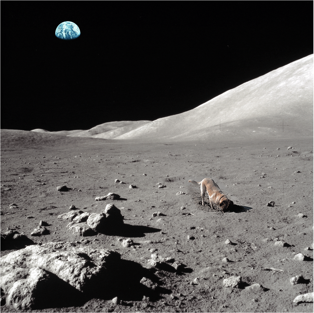 ufo-the-truth-is-out-there:
â€œMoon Rover.
â€