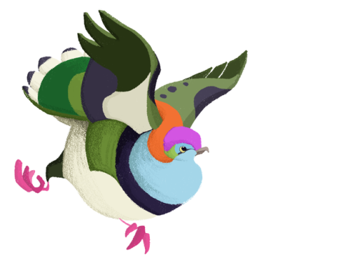 dailybirddrawings - Day 266 - Superb Fruit Dove (Purple-Crowned...