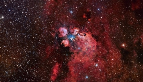 space-wallpapers - The Cat’s Paw Nebula (desktop/laptop)Click the...