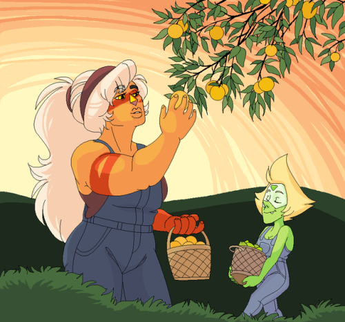 buttercupbutch - picking some limes n oranges