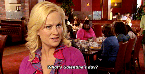 The Gals of 'Parks and Recreation' Reunited on Actual Galentine's Day