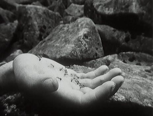 lostinpersona - Démanty noci (1964) Dir. Jan Nemec