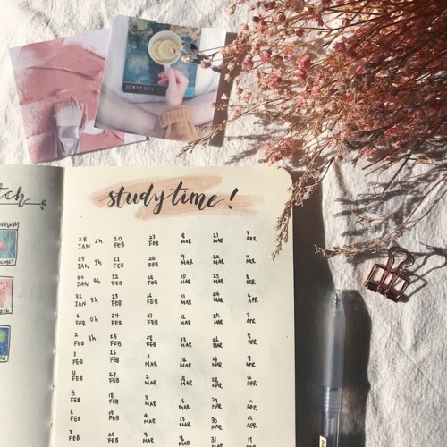 officiallystudying - 〰️how my february started〰️ 