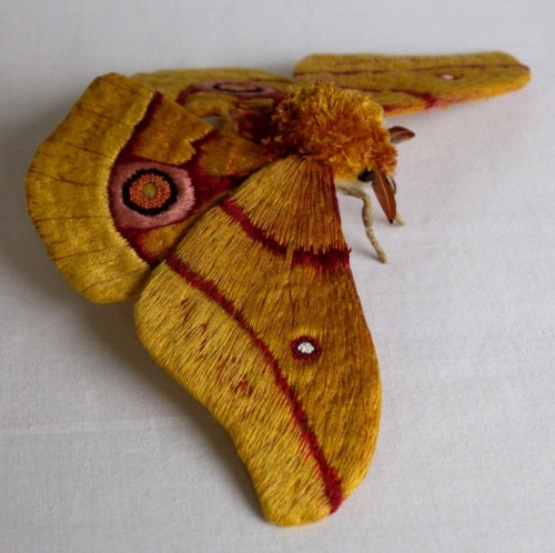sosuperawesome:Moth and Butterfly Fibre Sculptures, by Yumi...