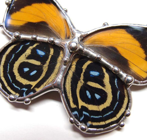 lesstalkmoreillustration - Handcrafted Glass Butterfly Pendants...