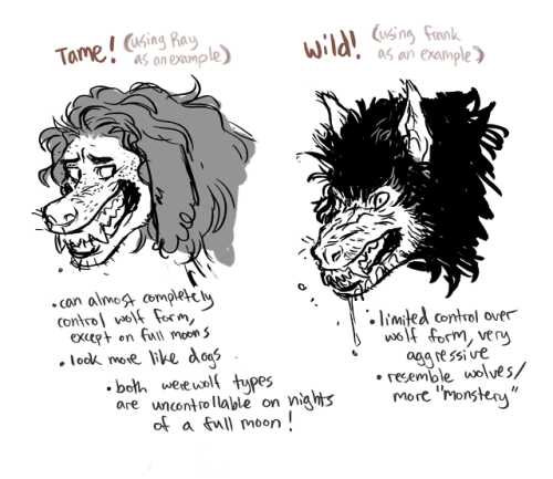 tatumhowlett - *shoves my werewolf nonsense over onto tumblr* look...