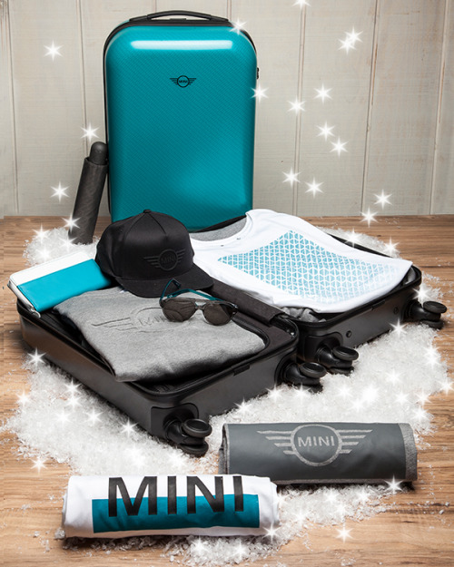 The MINI Lifestyle Collection has perfect gifts for everyone on...