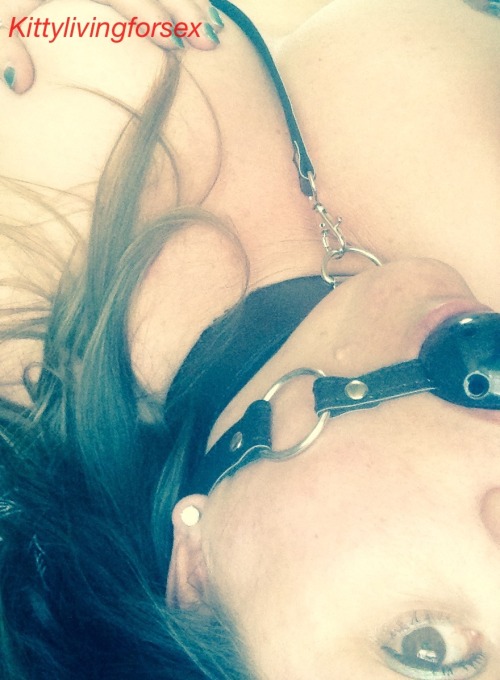 kitty-sex-life-chronicles - I wore my new Ball gag for Sir last...