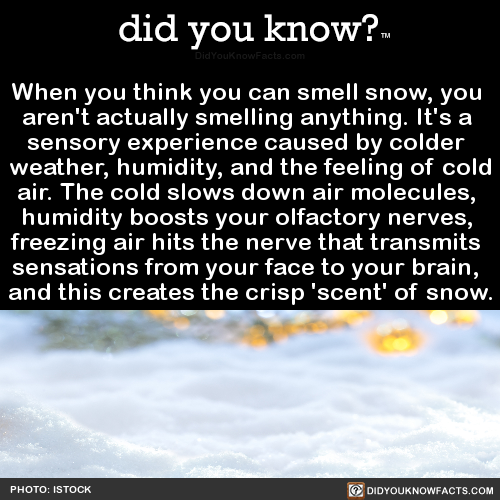 when-you-think-you-can-smell-snow-you-arent