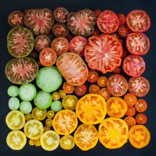 astound - tomato season | emily blincoe