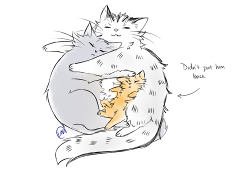 tinyriverstory - Some things are too perfect and Bokuto adopting...