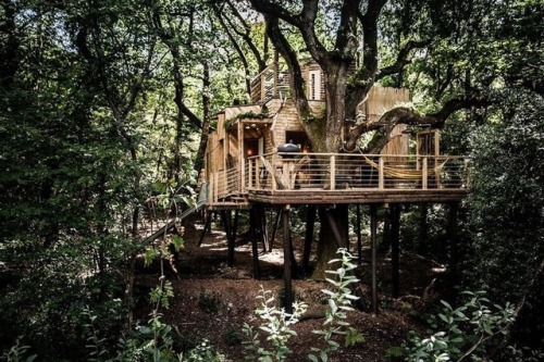 prefabnsmallhomes - Woodman’s Treehouse, Dorset, UK by Guy...