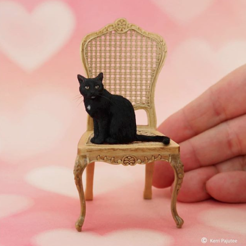 catsbeaversandducks - Miniatures by Kerri Pajutee 