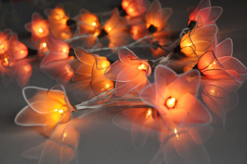 culturenlifestyle - Delicate Flower String LightsThailand-based...