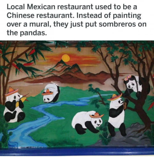 ohnoagremlin - were-kaiju - memehumor - Mexican PandasTHEY...