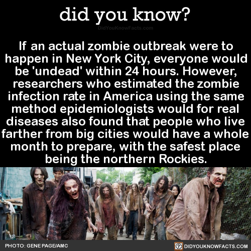 if-an-actual-zombie-outbreak-were-to-happen-in-new