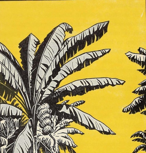 apeninacoquinete - banana tree, 1938