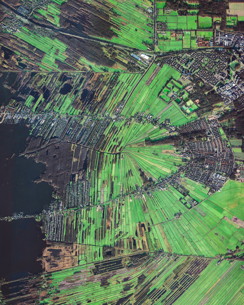 dailyoverview - Loosdrecht is a town of roughly 8,600...
