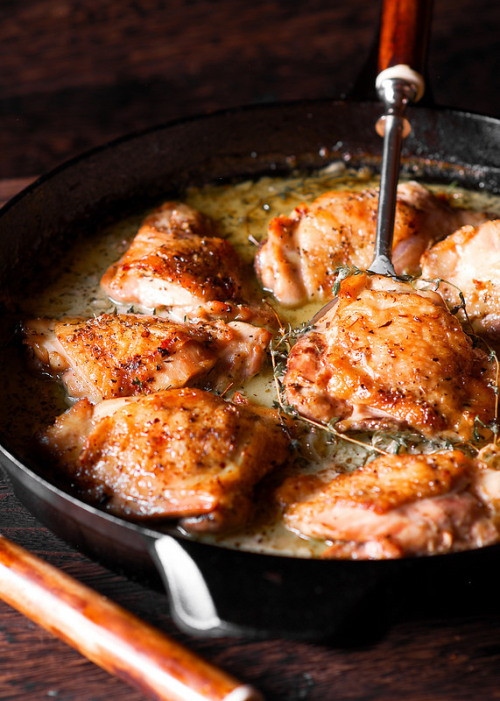 hoardingrecipes - Herb Roasted Chicken Thighs in Creamy White...