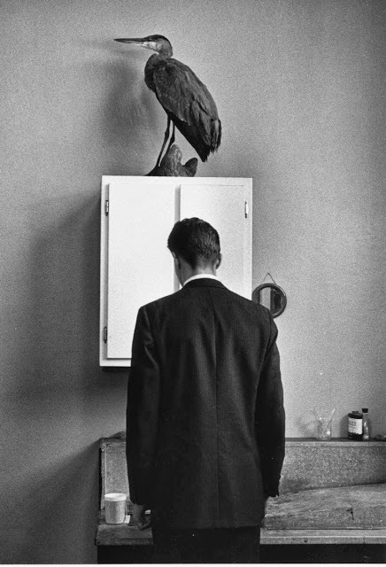 24hoursinthelifeofawoman - André Kertész, The Heron, 1969