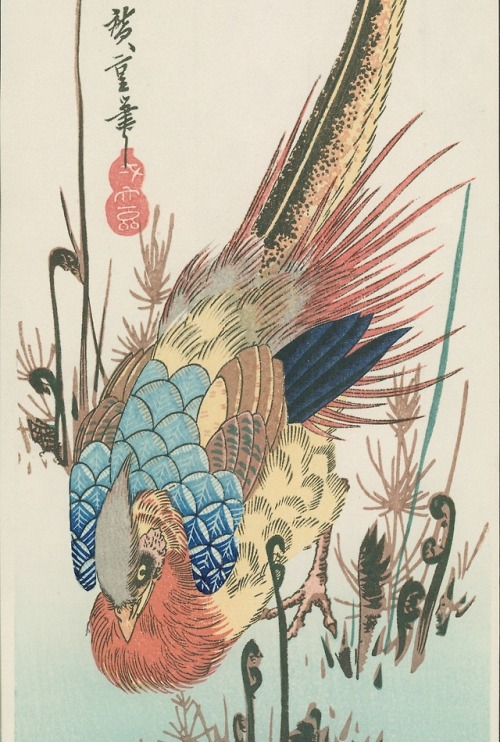 heartbeat-of-leafy-limbs - UTAGAWA HIROSHIGE Golden Pheasant [19th...