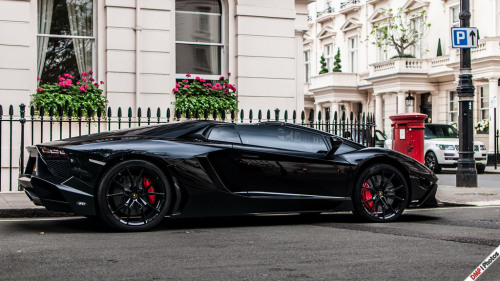 automotivated - Aventador Roadster 50th Anniversary (by...