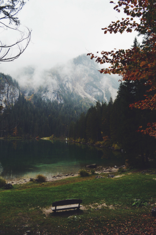 expressions-of-nature:autumn by giubbottorosso