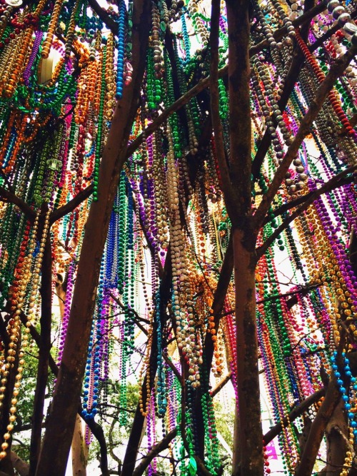 ill-sleepwhenim-dead:Beads. Mardi Gras 2015. New Orleans